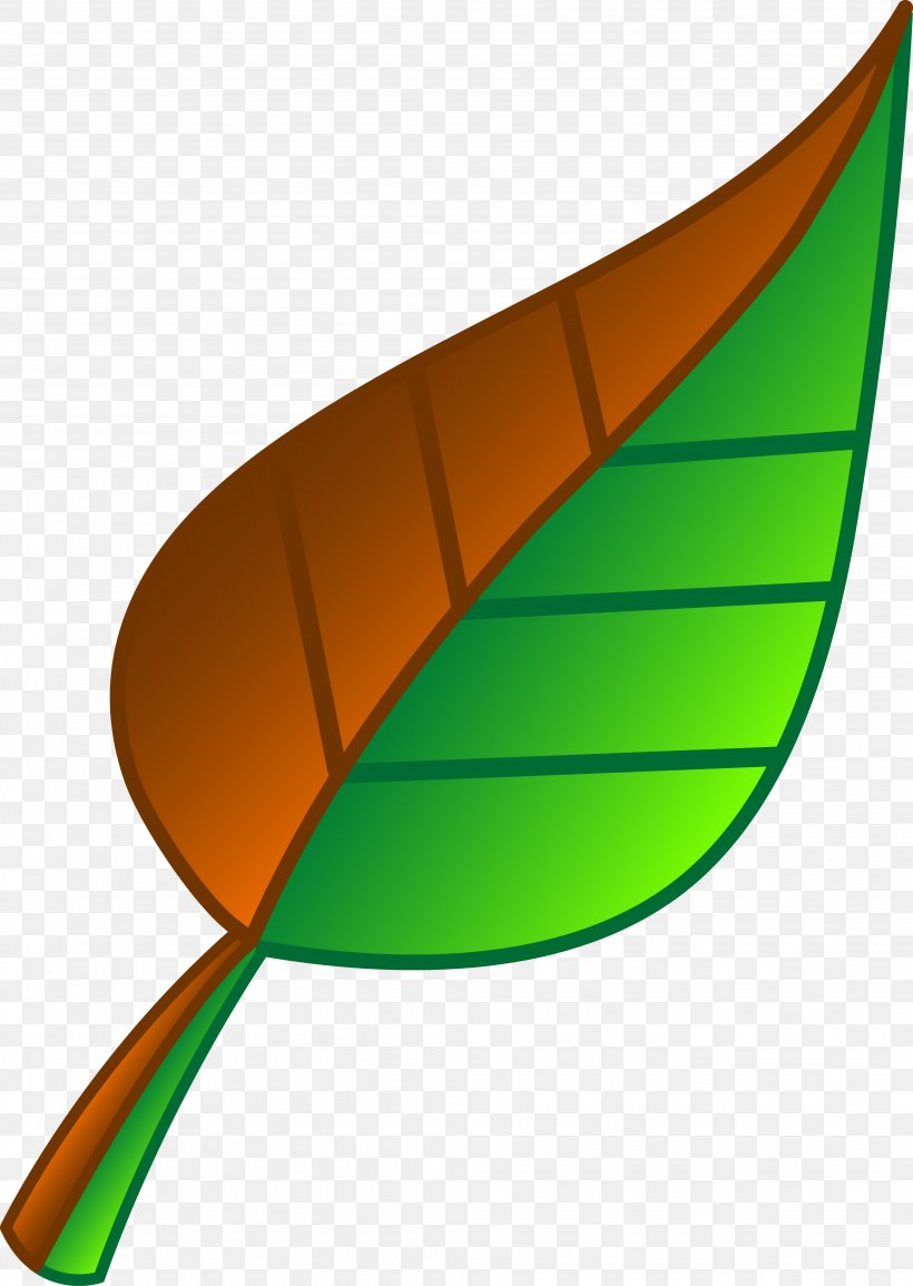 Leaf Green Clip Art, PNG, 3906x5502px, Leaf, Autumn, Autumn Leaf Color, Basil, Brown Download Free