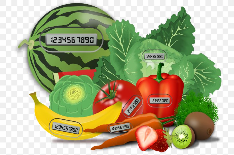 Vegetable Fruit Juice Health Eating, PNG, 732x544px, Vegetable, Artichoke, Bell Pepper, Carrot, Carrot Juice Download Free