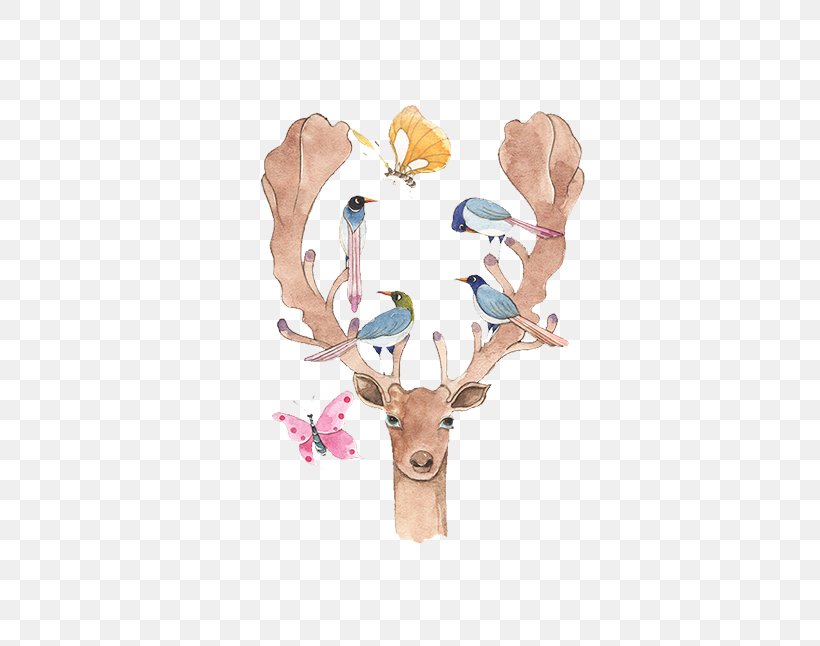 Bird House Sparrow Elk Antler Illustration, PNG, 500x646px, Bird, Antler, Deer, Elk, House Sparrow Download Free