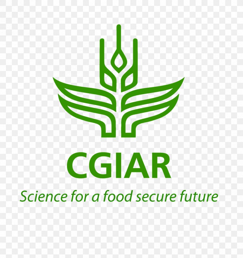 CGIAR Agriculture International Food Policy Research Institute International Livestock Research Institute, PNG, 852x907px, Cgiar, Agriculture, Agroforestry, Area, Bioversity International Download Free