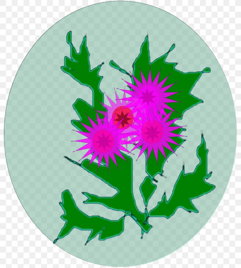 Chrysanthemum, PNG, 793x913px, Chrysanthemum, Chrysanths, Flora, Flower, Flowering Plant Download Free