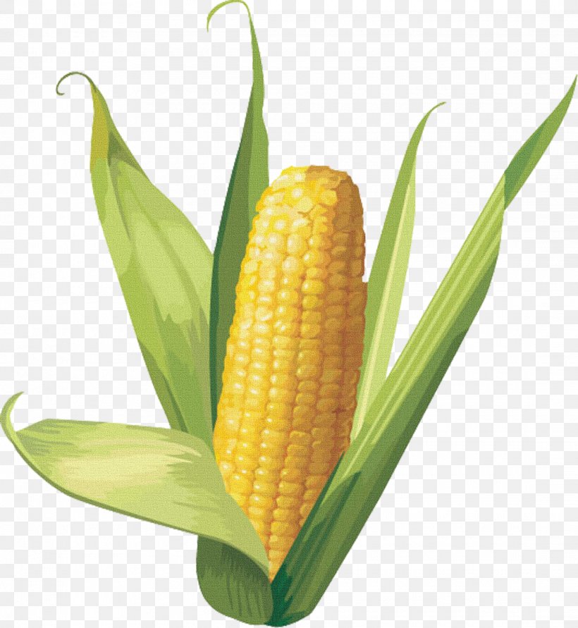 Corn On The Cob Maize Sweet Corn Clip Art, PNG, 2220x2413px, Corn On The Cob, Commodity, Corn Kernel, Corn Kernels, Corncob Download Free