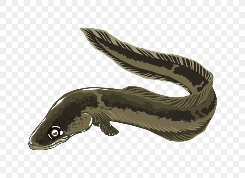 Electric Eel Clip Art, PNG, 1640x1192px, Eel, Amphibian, Cartoon, Electric Eel, Fauna Download Free