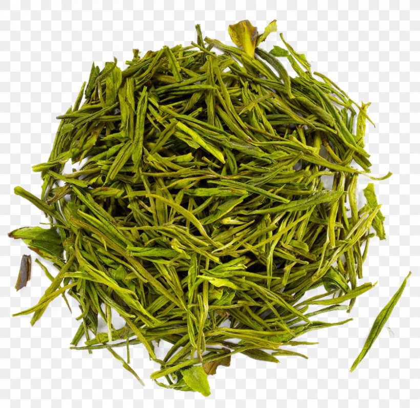 Namul Hōjicha Vegetable Bancha Prosopis Cineraria, PNG, 840x817px, Namul, Bai Mudan, Baihao Yinzhen, Bancha, Bean Download Free