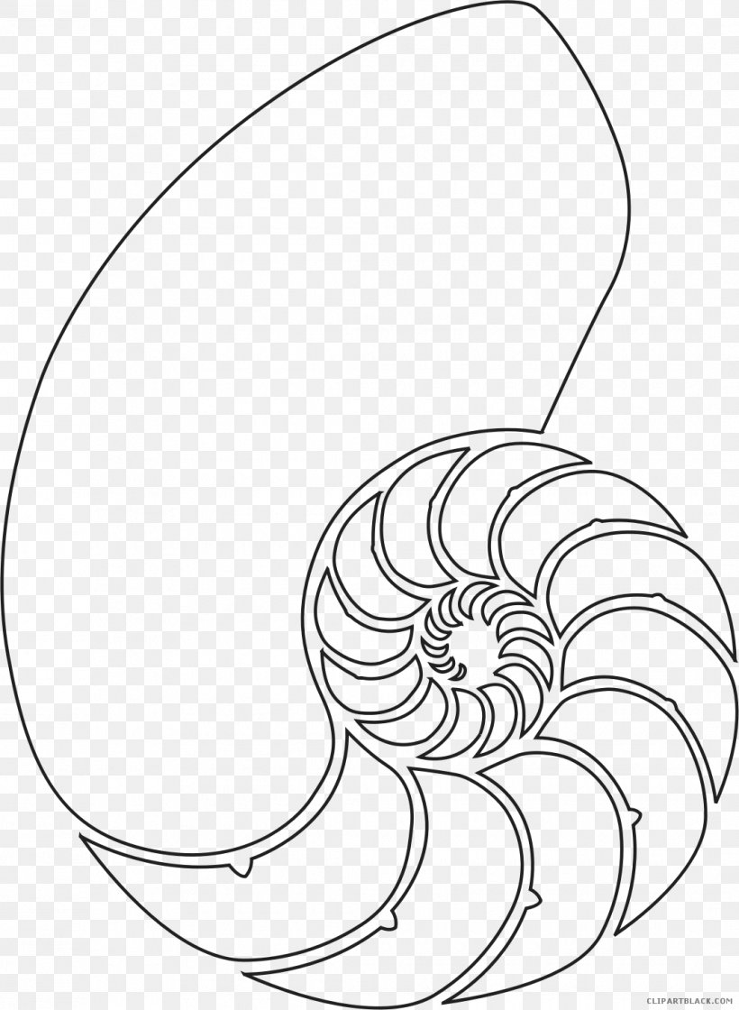 Nautilidae Seashell Clip Art Chambered Nautilus Mollusc Shell, PNG, 1070x1462px, Nautilidae, Area, Artwork, Black And White, Chambered Nautilus Download Free
