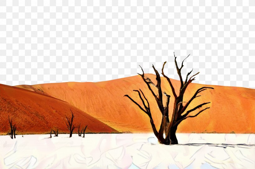 Spitzkoppe Accommodation Travel Deadvlei Journeys Namibia, PNG, 2258x1500px, Accommodation, Adventure, Aeolian Landform, Branch, Desert Download Free