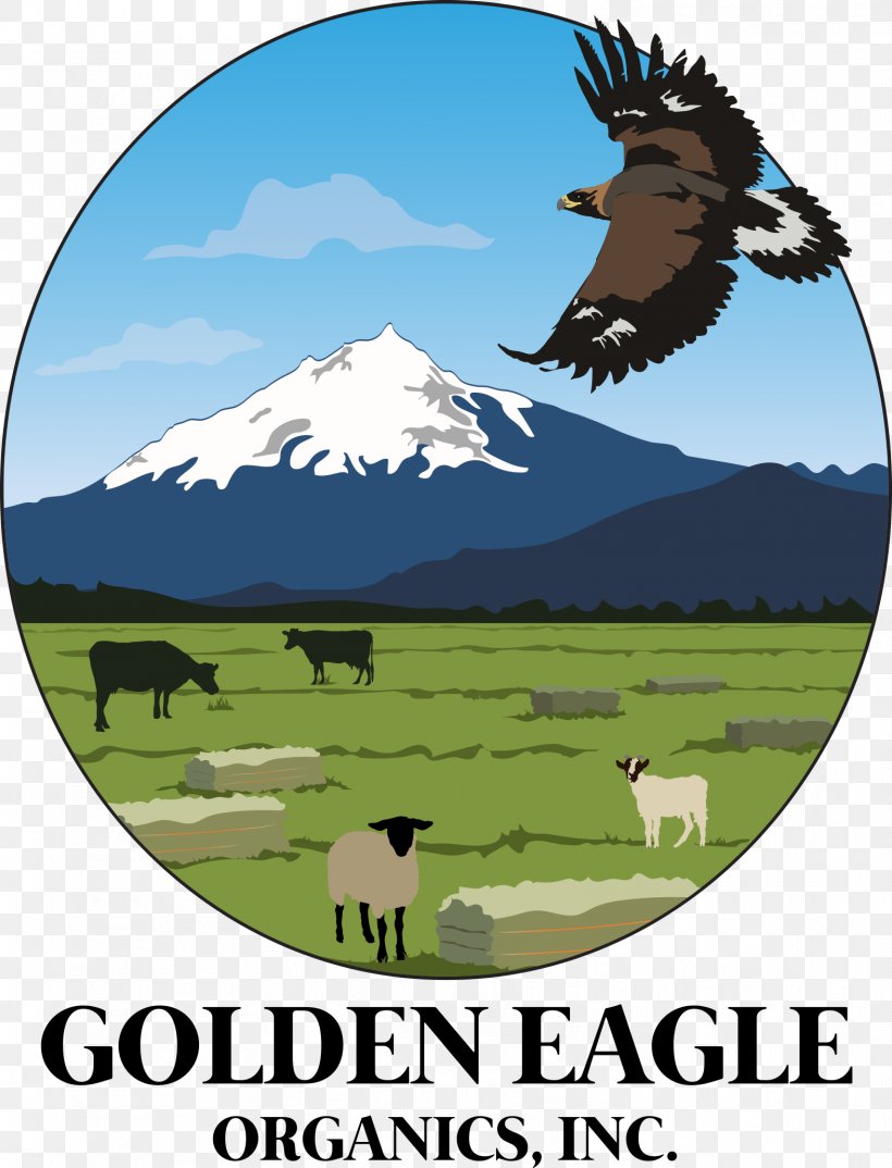 Golden Eagle Organics, Inc. Hay Cattle Organic Food Goat Meat, PNG, 1573x2062px, Hay, Beef, Cattle, Cattle Like Mammal, Central Oregon Download Free