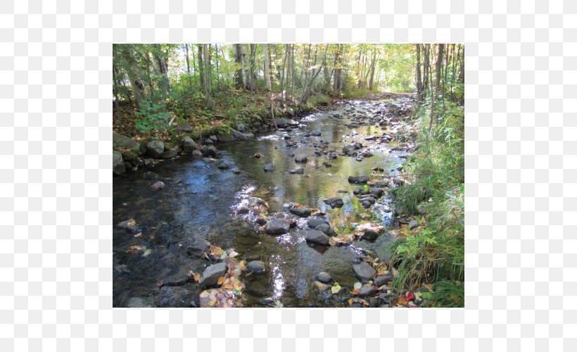 Riparian Zone Stream Riparian Forest Water Resources River, PNG, 500x500px, Riparian Zone, Arroyo, Bank, Bayou, Biome Download Free