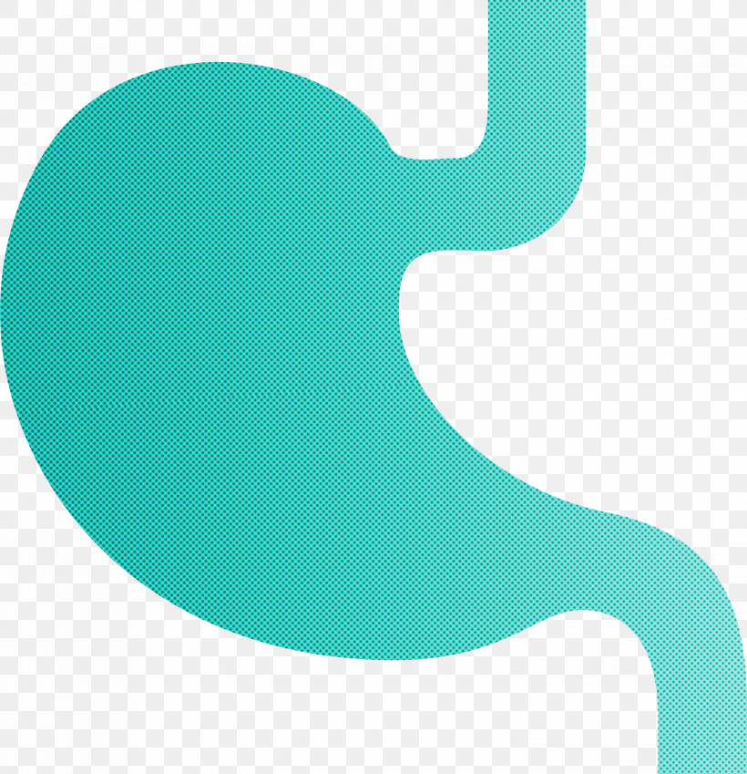 Stomach Organ, PNG, 2895x3000px, Stomach Organ, Aqua, Green, Teal, Turquoise Download Free