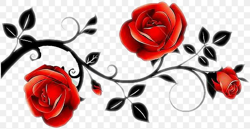 Garden Roses Clip Art, PNG, 814x422px, Garden Roses, Black Rose, Cut Flowers, Flora, Floral Design Download Free