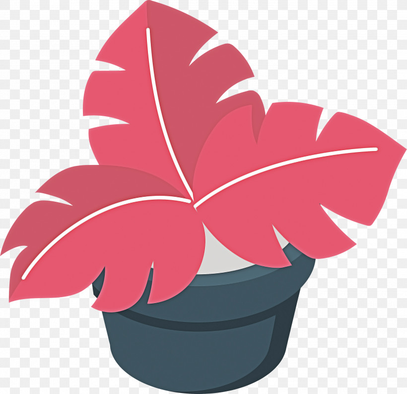 Leaf Plant Stem Flowerpot Petal Chinese Sweet Plum, PNG, 3000x2902px, Leaf, Biology, Branch, Chinese Sweet Plum, Chlorophytum Comosum Download Free