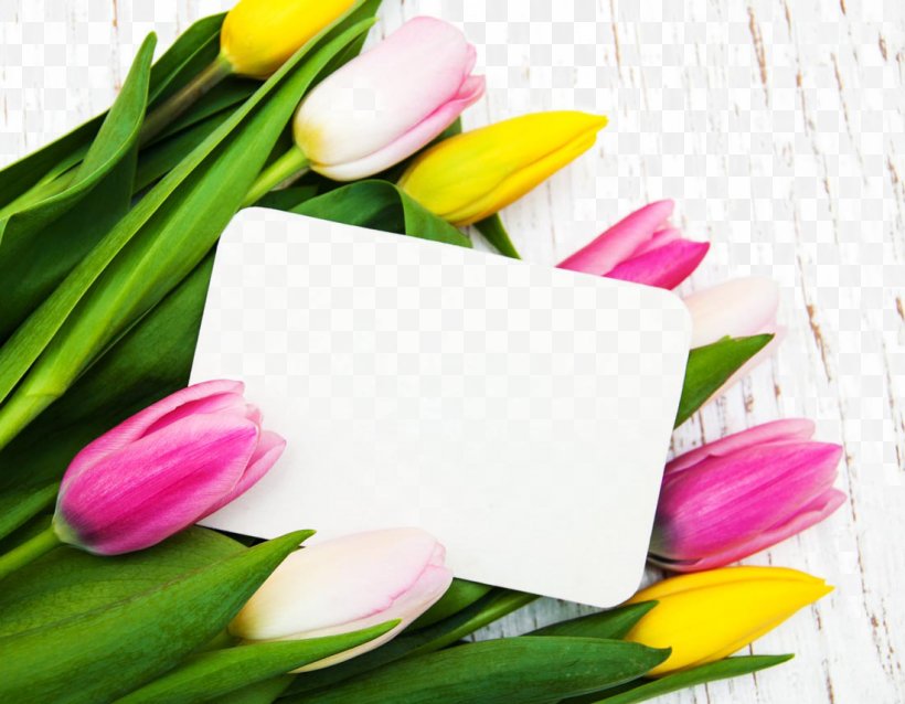 Tulip Flower, PNG, 1100x856px, Tulip, Artificial Flower, Cut Flowers, Designer, Floral Design Download Free