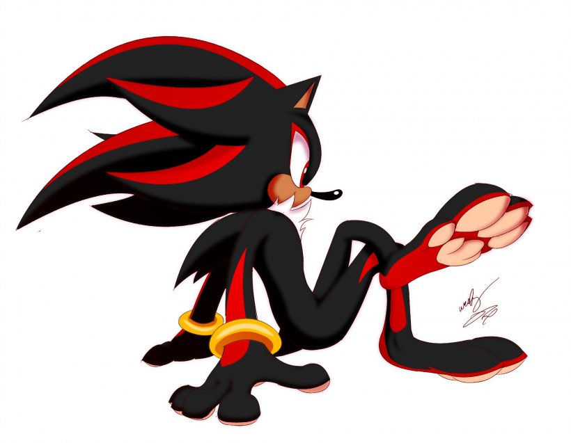 Sonic The Hedgehog Shadow The Hedgehog Tails Shoe, PNG, 2000x1556px, Sonic The Hedgehog, Art, Beak, Bird, Fictional Character Download Free
