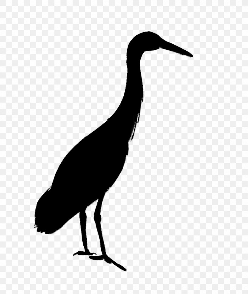 Stork Water Bird Ibis Beak, PNG, 1000x1189px, Stork, Beak, Bird, Crane, Cranelike Bird Download Free
