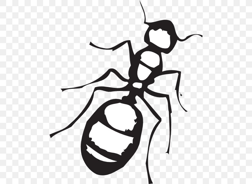 Ant Black And White Clip Art, PNG, 498x599px, Ant, Art, Artwork, Black And White, Black Garden Ant Download Free