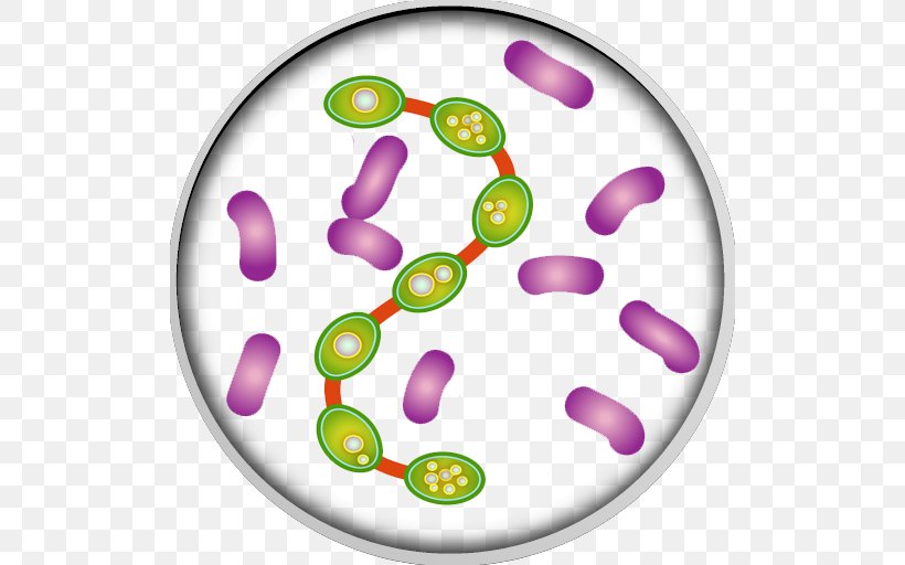 Bacteria Infection Medicine Clip Art, PNG, 512x512px, Bacteria, Disease, Germ Theory Of Disease, Infection, Medicine Download Free