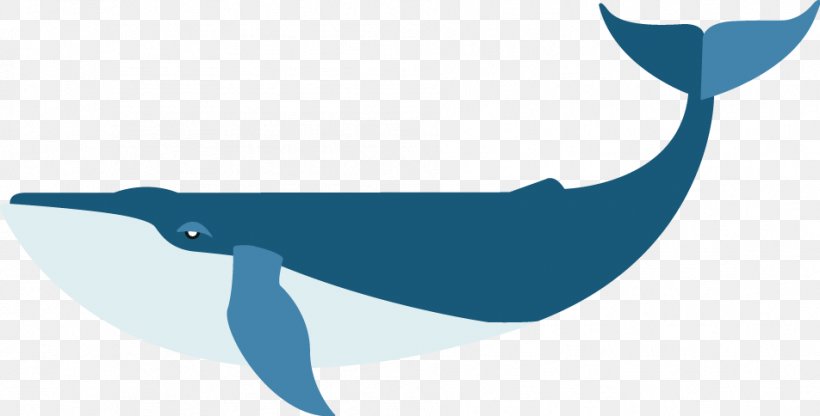 Dolphin Porpoise Beak Bird Clip Art, PNG, 952x484px, Dolphin, Beak, Bird, Blue, Cetacea Download Free