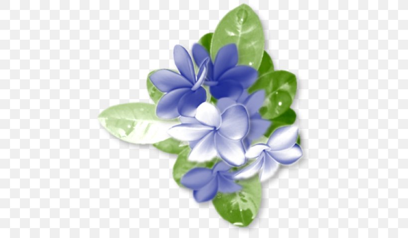 Flower Petal Rose Yellow, PNG, 454x480px, Flower, Blue, Blue Flower, Color, Flowering Plant Download Free