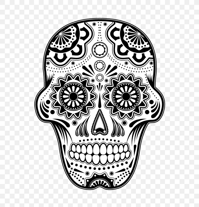 Line Art Head Bone Skull Coloring Book, PNG, 602x855px, Line Art, Bone, Coloring Book, Drawing, Head Download Free