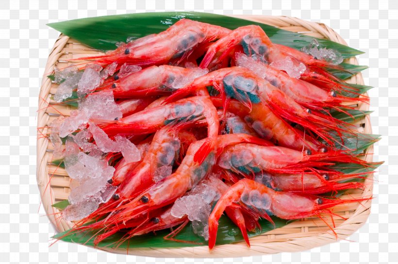 Caridea Shrimp Sashimi Food, PNG, 4288x2848px, Caridea, Animal Source Foods, Bamboe, Botan Shrimp, Caridean Shrimp Download Free