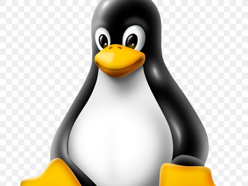 Linux Kernel Security Hacker, PNG, 1979x1484px, Linux, Beak, Bird, Computer Servers, Flightless Bird Download Free