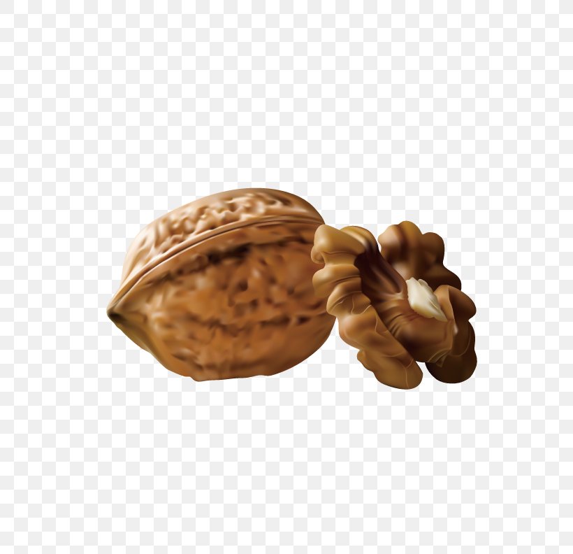 Walnut Euclidean Vector, PNG, 612x792px, Walnut, Dried Fruit, Flavor, Food, Fruit Download Free