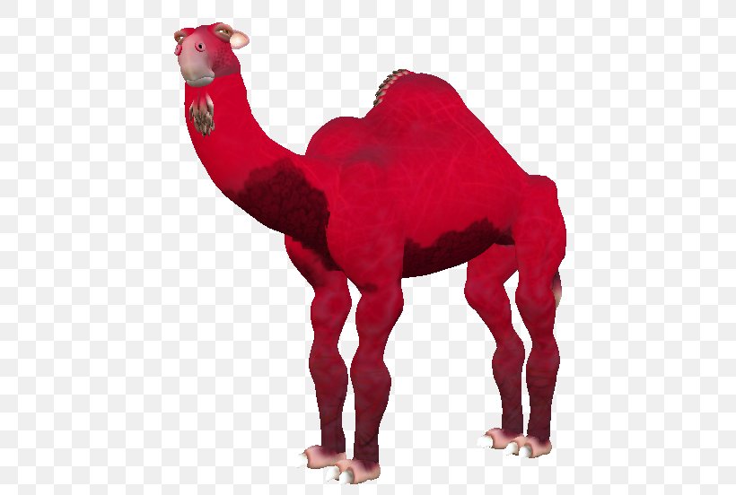Dromedary Camel Snout Terrestrial Animal, PNG, 474x552px, Dromedary, Animal, Animal Figure, Arabian Camel, Camel Download Free