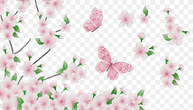 Floral Design, PNG, 3034x1728px, Watercolor, Blossom, Floral Design, Flower, Paint Download Free