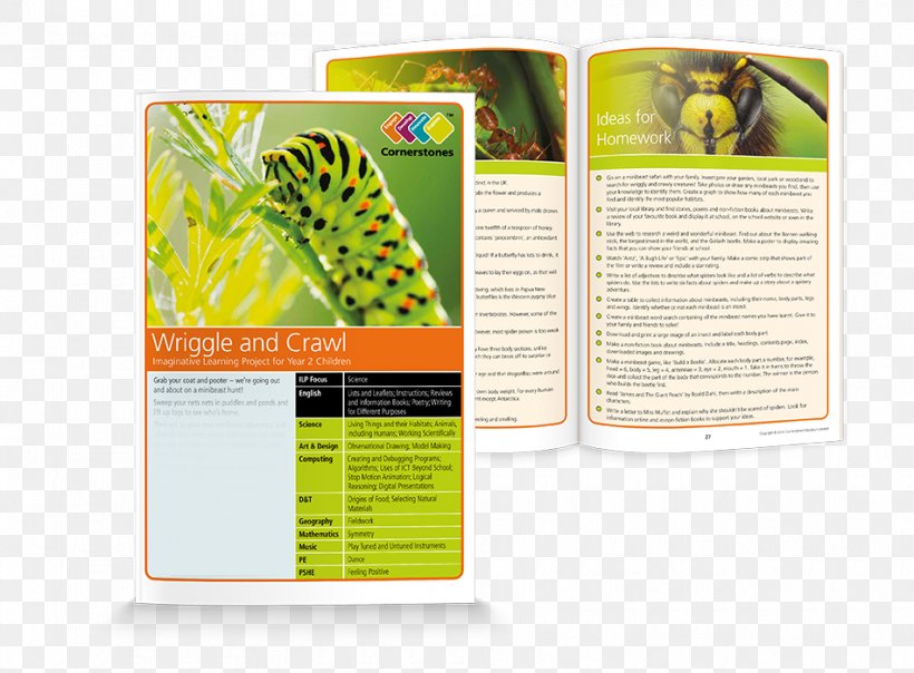 National Curriculum Brand, PNG, 950x700px, Curriculum, Brand, Brochure, Creativity, National Curriculum Download Free