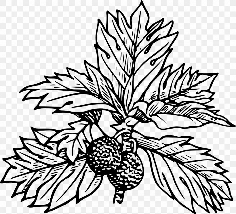 Breadfruit Clip Art, PNG, 1280x1162px, Breadfruit, Artwork, Black And White, Branch, Commodity Download Free