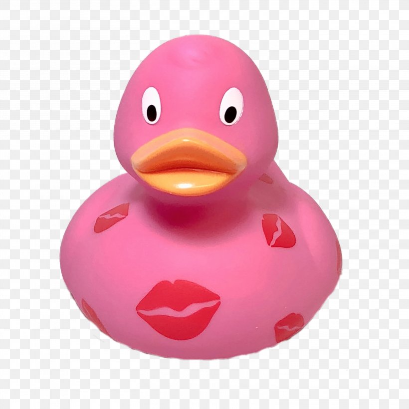 Duck Pink M, PNG, 3024x3024px, Duck, Beak, Bird, Ducks Geese And Swans, Magenta Download Free
