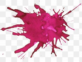 Graffiti - Watercolor Painting Illustration PNG