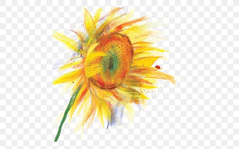 Common Sunflower Watercolor Painting Illustration, PNG, 510x510px, Common Sunflower, Acrylic Paint, Art, Canvas, Daisy Family Download Free