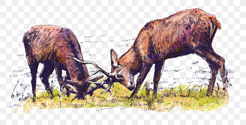 Elk Bison Bonasus Red Deer Antelope, PNG, 1200x612px, Elk, Animal, Antelope, Antler, Bison Download Free