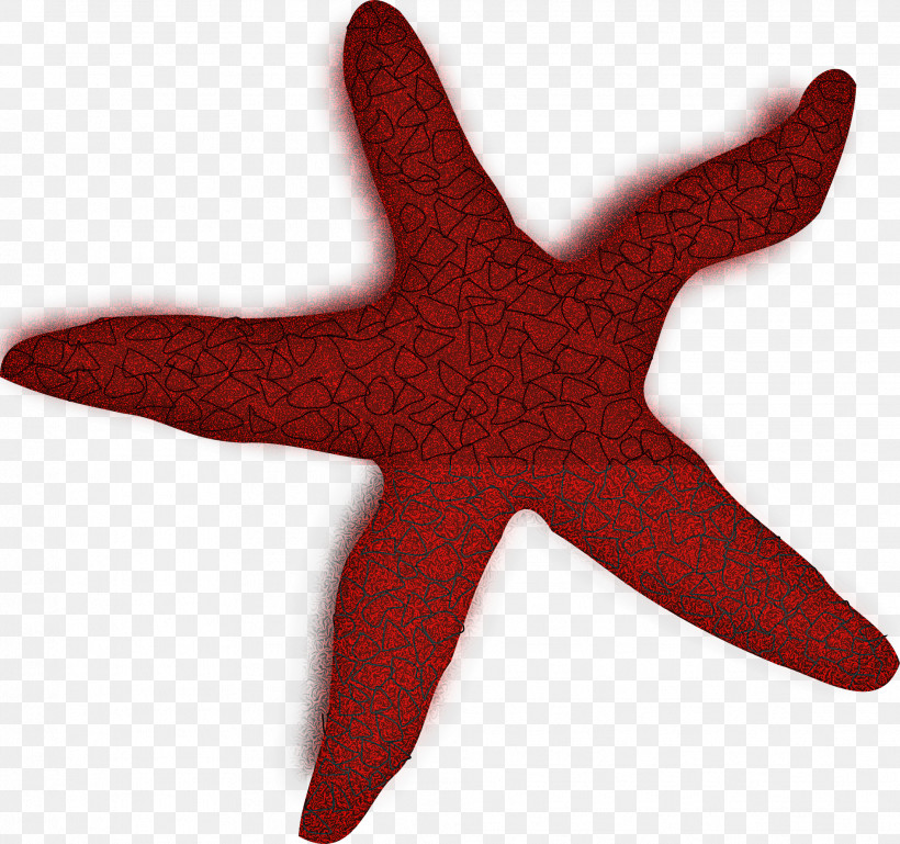 Starfish Red Star, PNG, 1979x1858px, Starfish, Red, Star Download Free