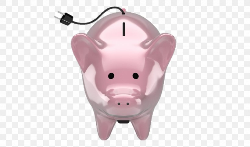 Piggy Bank Snout, PNG, 1600x943px, Pig, Bank, Mammal, Nose, Piggy Bank Download Free