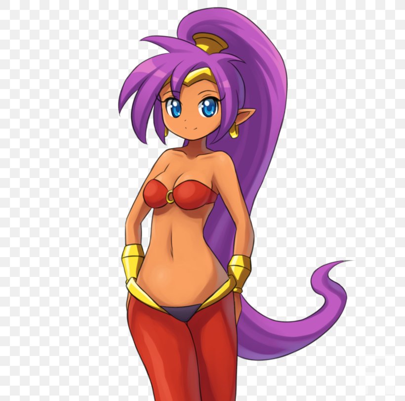 Shantae: Half-Genie Hero Shantae: Risky's Revenge Wii U Video Games, PNG, 811x811px, Watercolor, Cartoon, Flower, Frame, Heart Download Free
