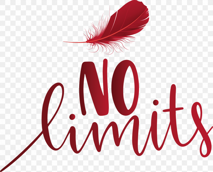 No Limits Dream Future, PNG, 3000x2435px, No Limits, Dream, Feather, Future, Hope Download Free