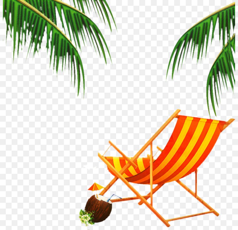 Summer Palm Tree, PNG, 800x794px, Beach, Arecales, Elaeis, Furniture, Hammock Download Free