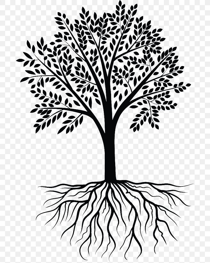Tree Wall Decal, PNG, 695x1024px, Tree, Black And White, Branch, Color, Decal Download Free