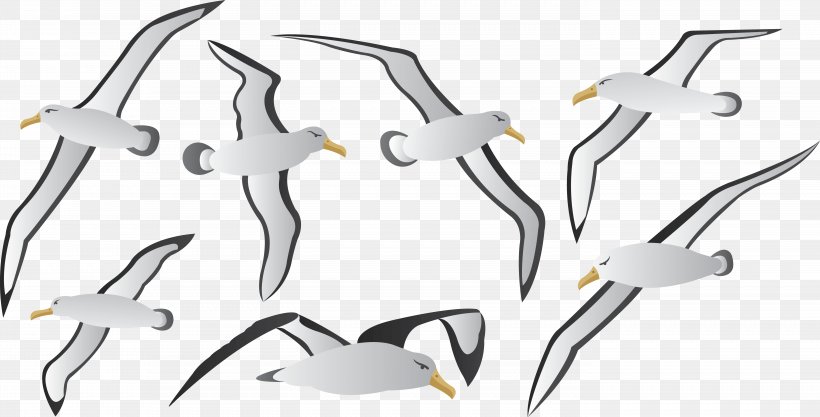 Albatross Bird Euclidean Vector, PNG, 5699x2903px, Watercolor, Cartoon, Flower, Frame, Heart Download Free