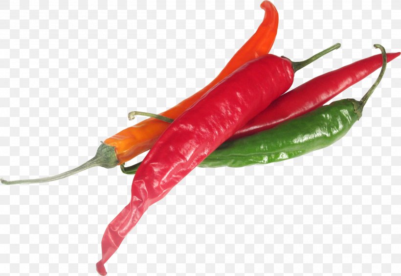 Bell Pepper Bird's Eye Chili Chili Pepper Serrano Pepper Piquillo Pepper, PNG, 2615x1806px, Bell Pepper, Ajika, Bell Peppers And Chili Peppers, Bird S Eye Chili, Capsicum Download Free