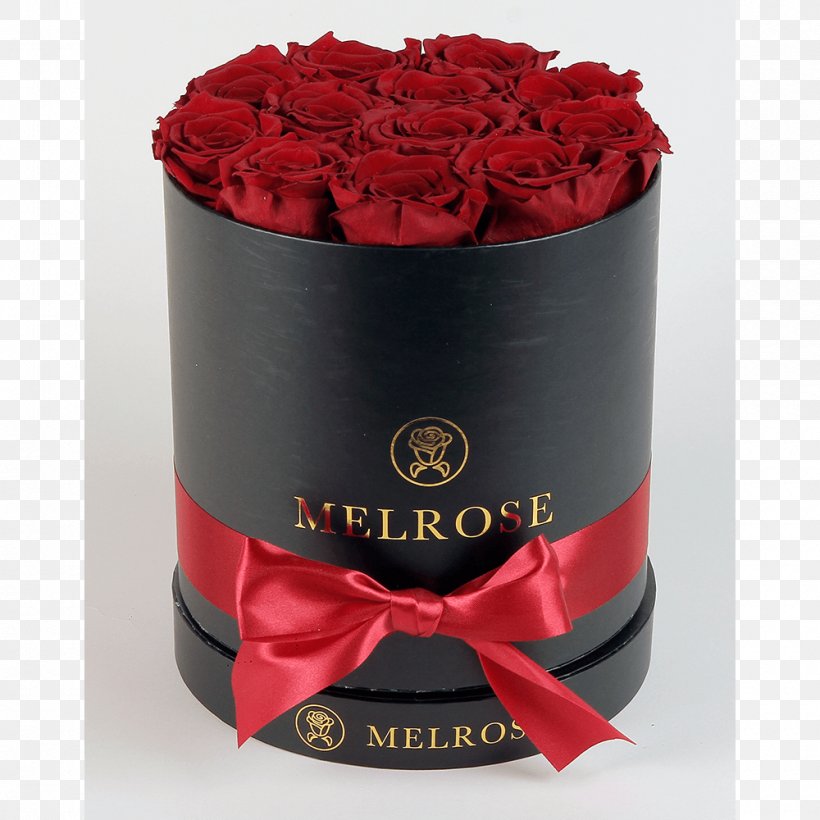 Red Wine Flowerpot Petal, PNG, 1000x1000px, Wine, Box, Floristry, Flower, Flowerpot Download Free