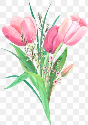 Parrot Tulips Flower Clip Art, PNG, 4268x960px, Tulip, Blog, Bud, Close ...