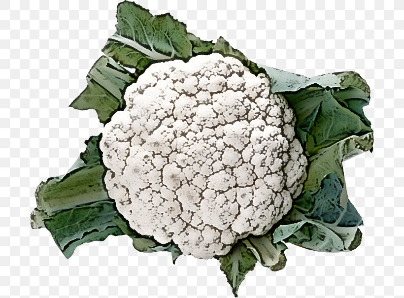 Cauliflower, PNG, 699x605px, Cauliflower, Broccoli, Flower, Food, Leaf Vegetable Download Free