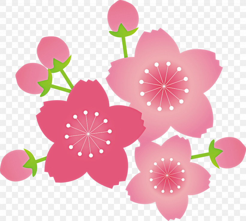 Cherry Flower Floral Flower, PNG, 3000x2697px, Cherry Flower, Floral, Flower, Petal, Pink Download Free