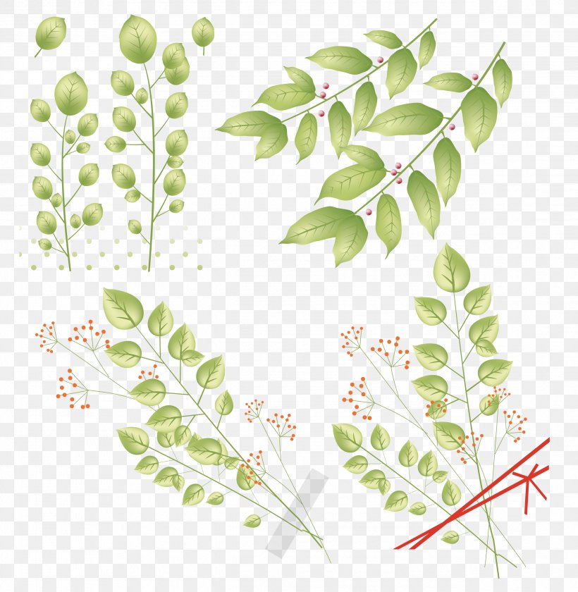 Leaf Plant Stem Clip Art, PNG, 2537x2600px, Leaf, Branch, Flora, Flower, Green Download Free