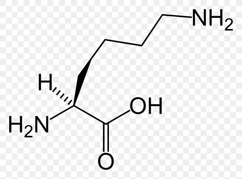 Maple Syrup Urine Disease Leucine Tyrosinemia, PNG, 1977x1462px, Maple Syrup Urine Disease, Amino Acid, Area, Black And White, Branchedchain Amino Acid Download Free