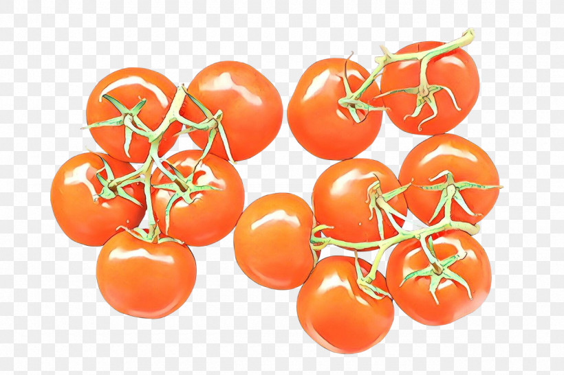 Orange, PNG, 1280x853px, Orange, Bush Tomato, Cherry Tomatoes, Food, Fruit Download Free