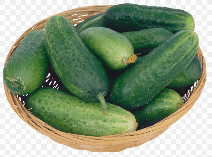 Pickled Cucumber Sweet And Sour Half Sour Pickles Vegetable, PNG, 1024x761px, Cucumber, Auglis, Cucumber Gourd And Melon Family, Cucumis, Food Download Free
